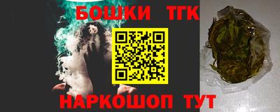 шишки Дубна