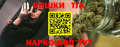 шишки Дубна