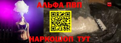 шишки Дубна