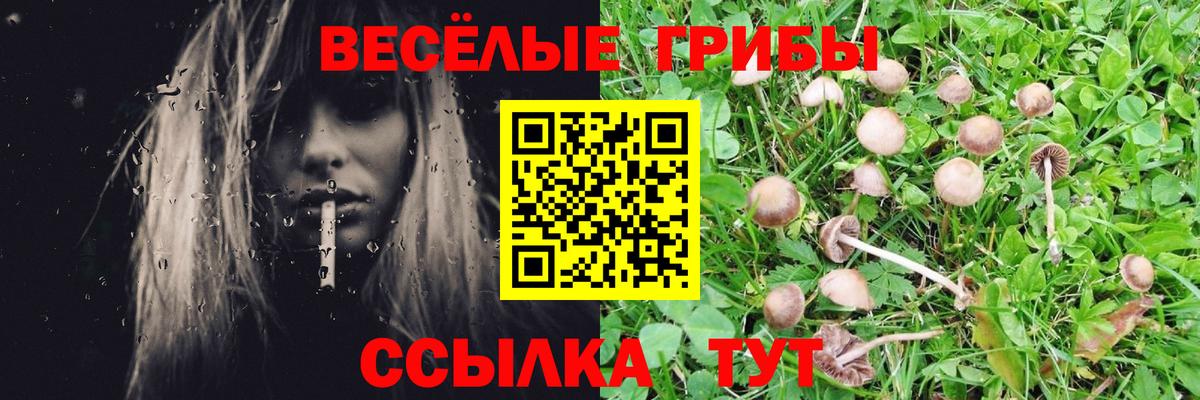 Надым  Галлюциногенные грибы мухоморы  Вход с VPN 